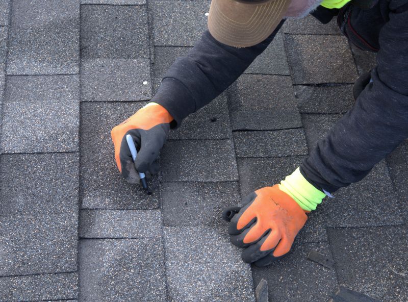 Professional Asphalt Shingle Repair 1