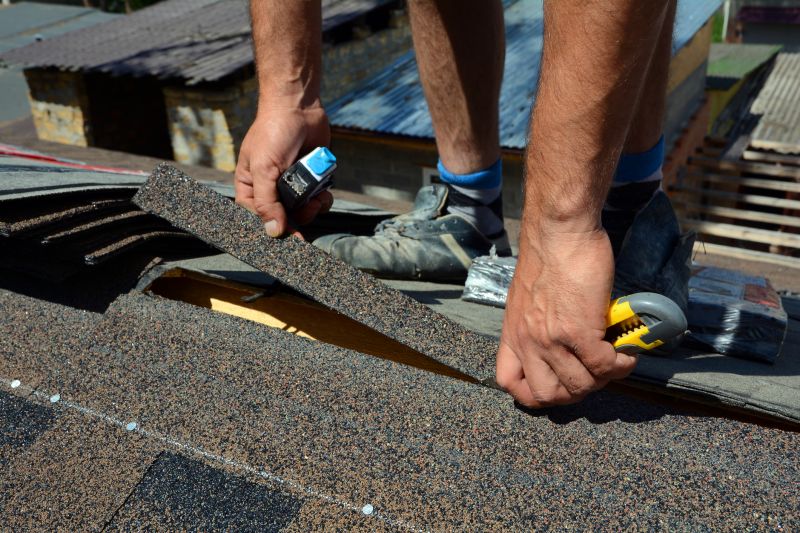 Professional Asphalt Shingle Repair 2