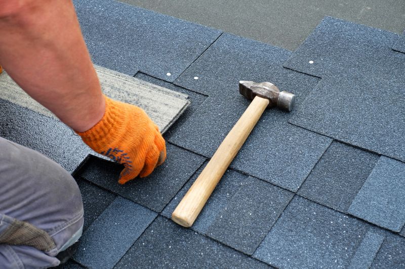 Professional Asphalt Shingle Repair 4