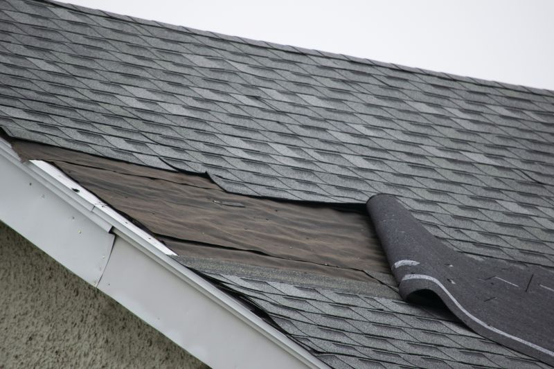 Asphalt Shingle Roof Repair Image 6